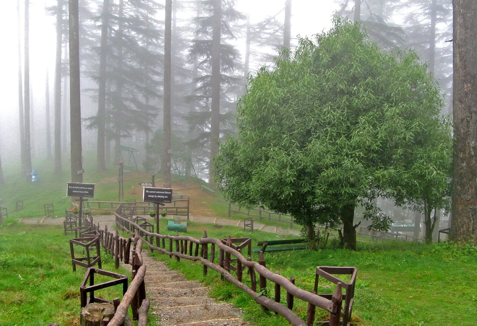 Mussoorie Honeymoon Tour Package