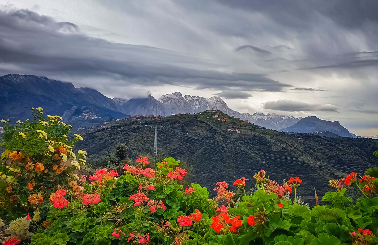 Kausani Honeymoon Tour