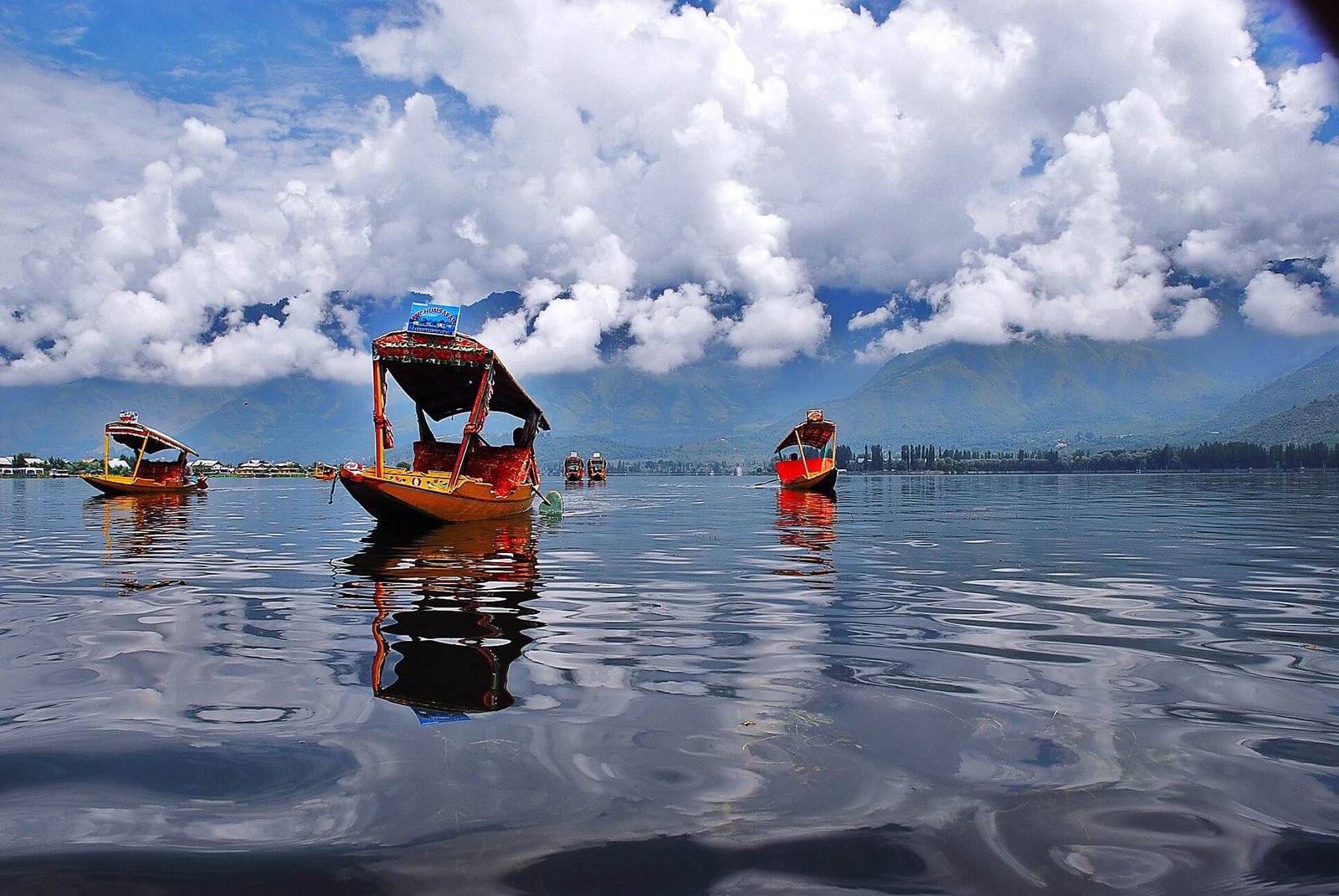 Srinagar Honeymoon Tour with Gulmarg Sonmarg