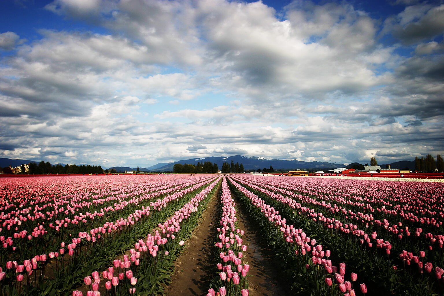 Srinagar Honeymoon Tour with Gulmarg Sonmarg