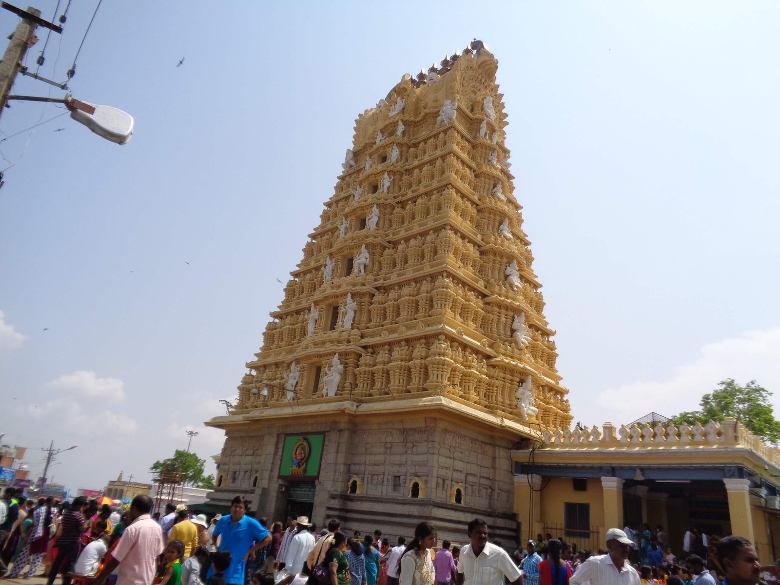 Mysore Wayanad Honeymoon Tour