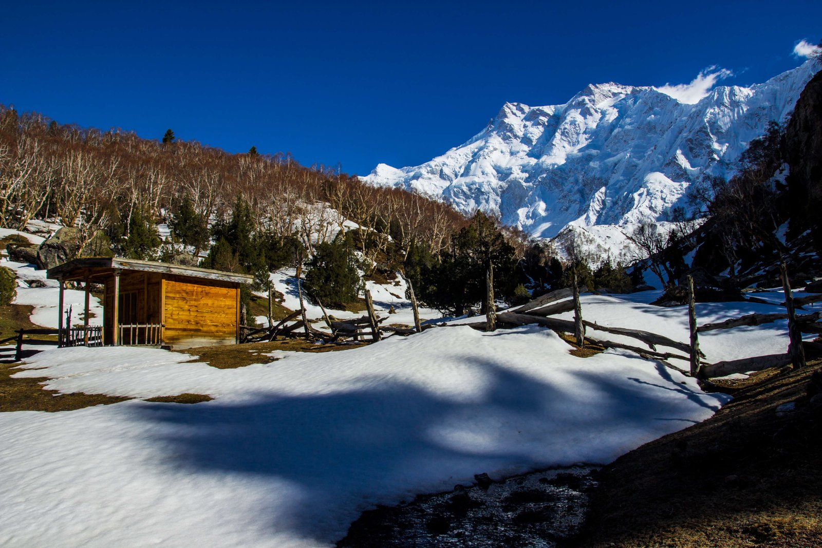 Gangtok Honeymoon Tour with Lachen Lachung