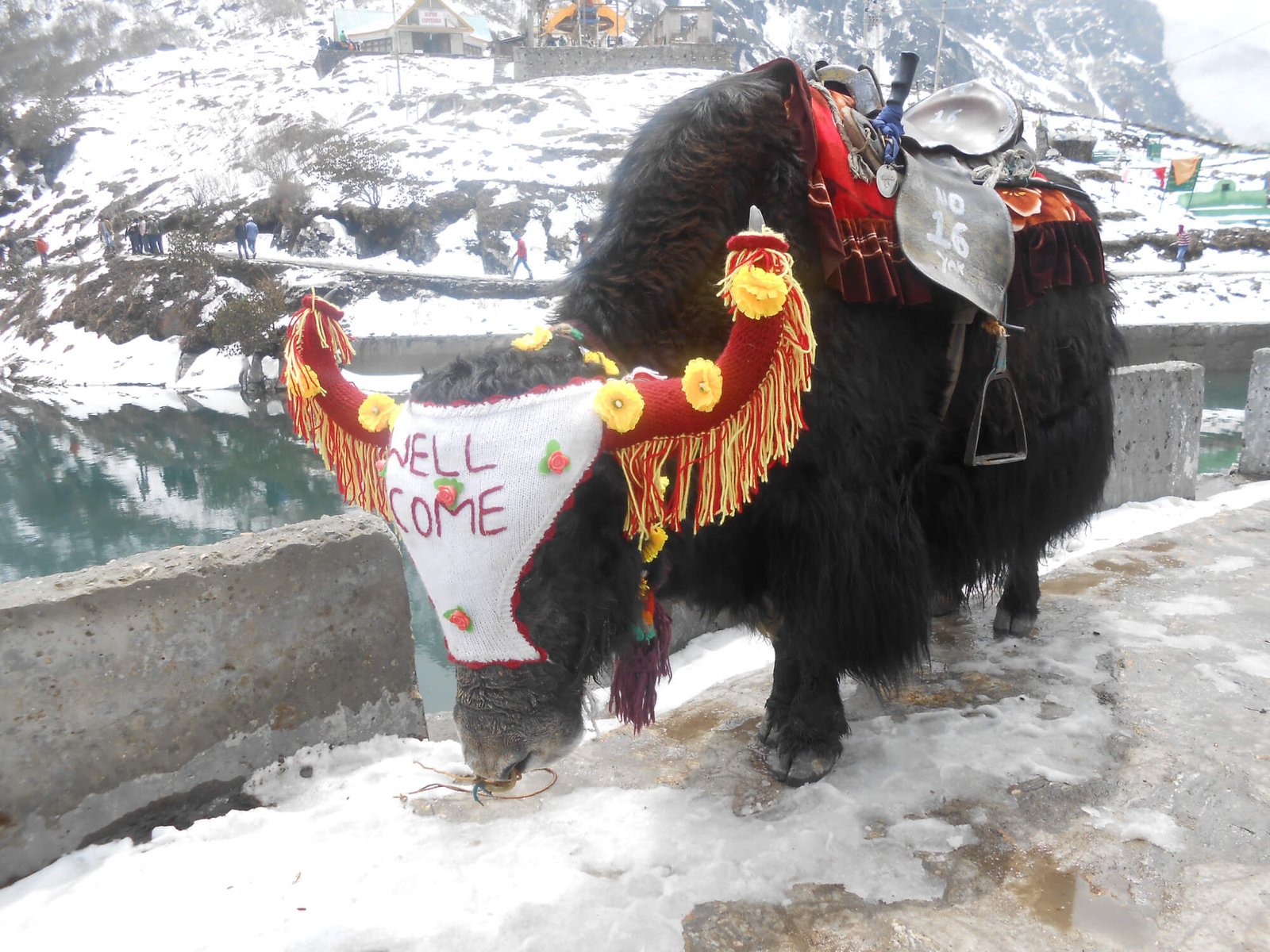 Darjeeling Gangtok Honeymoon Tour Package
