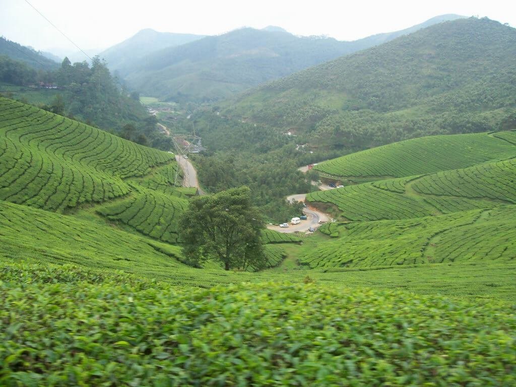 Thrilling Kerala Honeymoon Tour Package