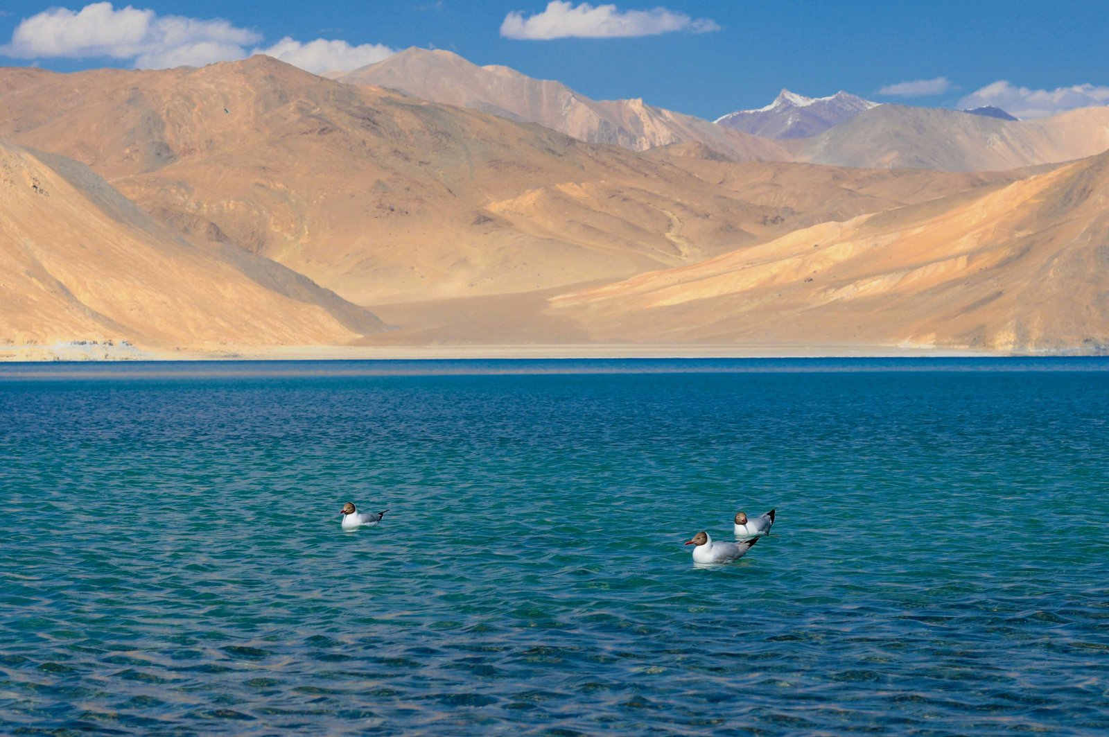 Leh Ladakh Honeymoon Tour Package