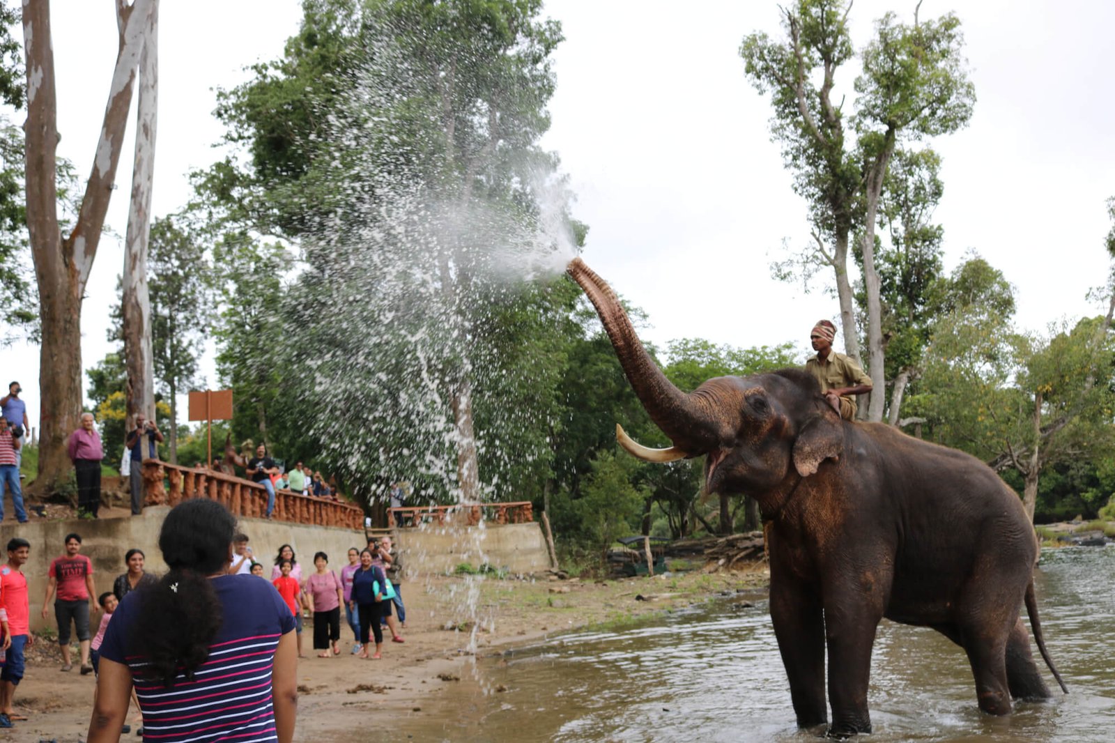 Coorg Ooty Coonoor Honeymoon Tour Package