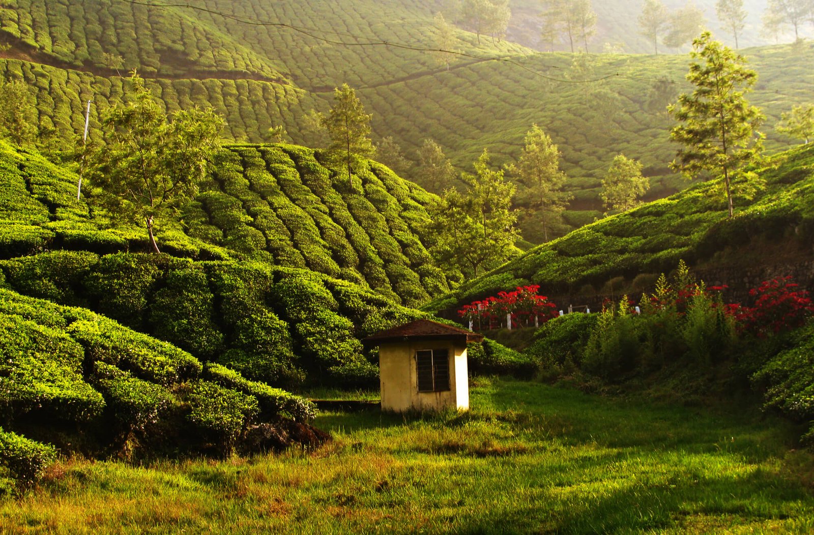 Enchanting Kerala Honeymoon Tour Package