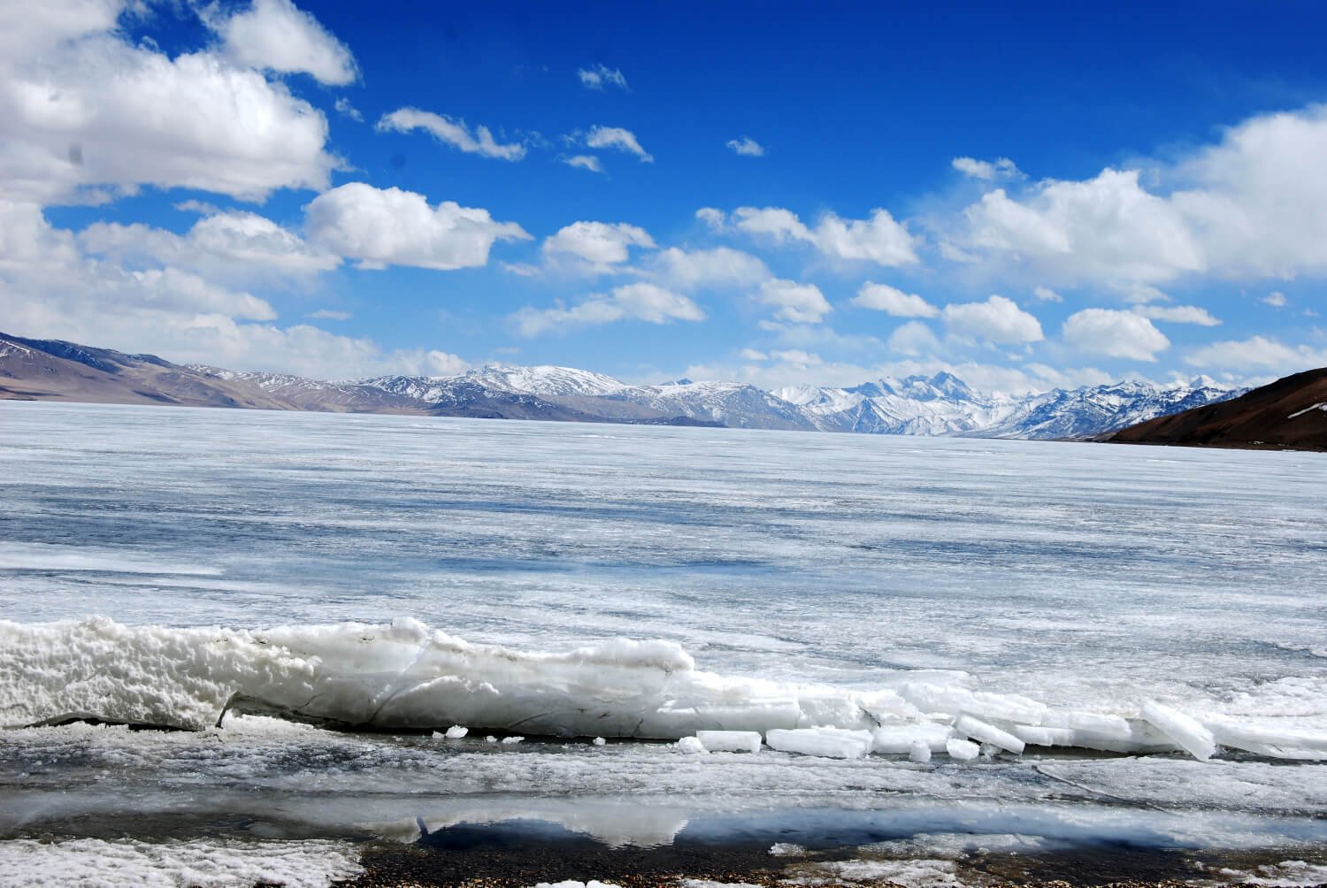 Mystic Ladakh Tour