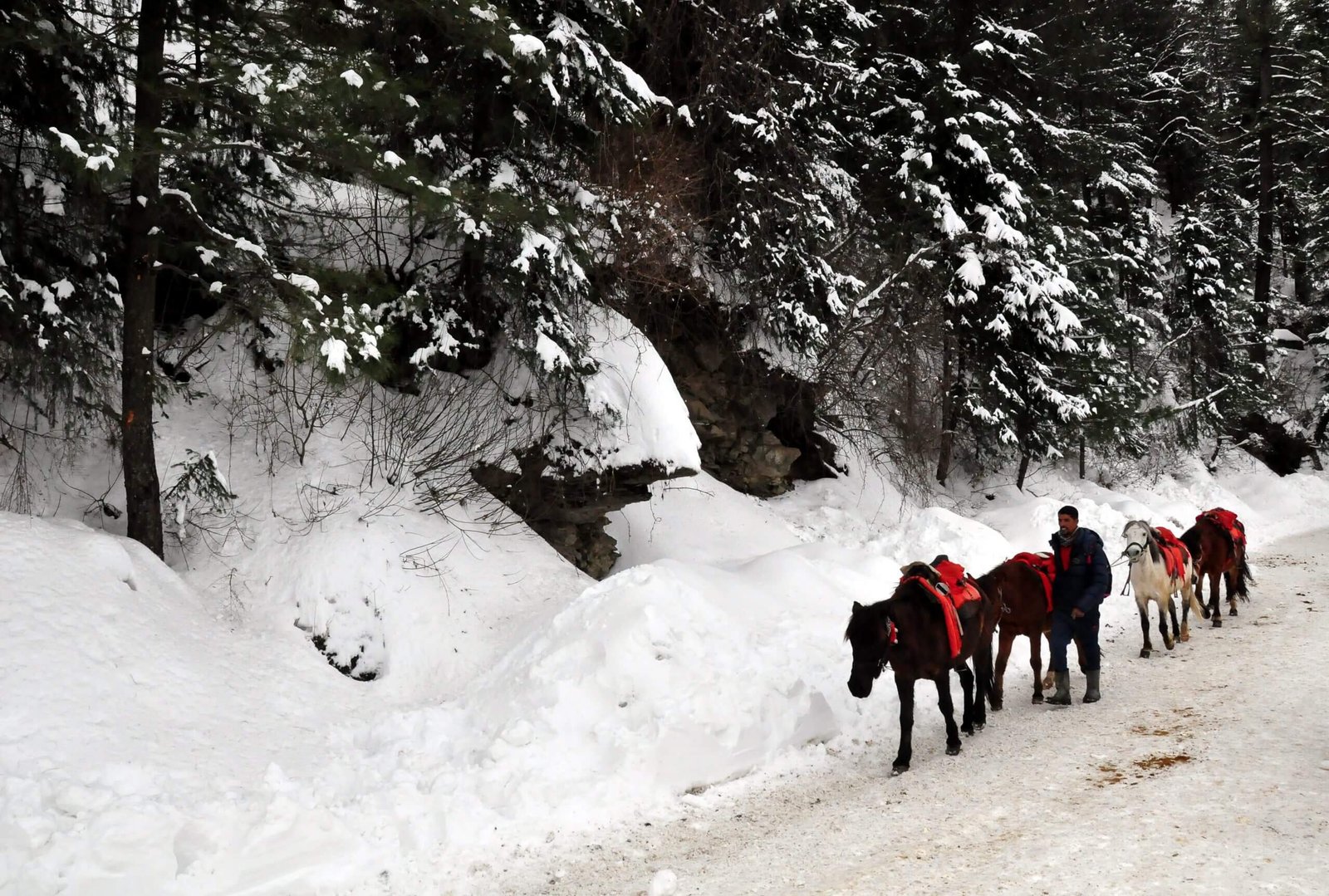 Best of North India Tour