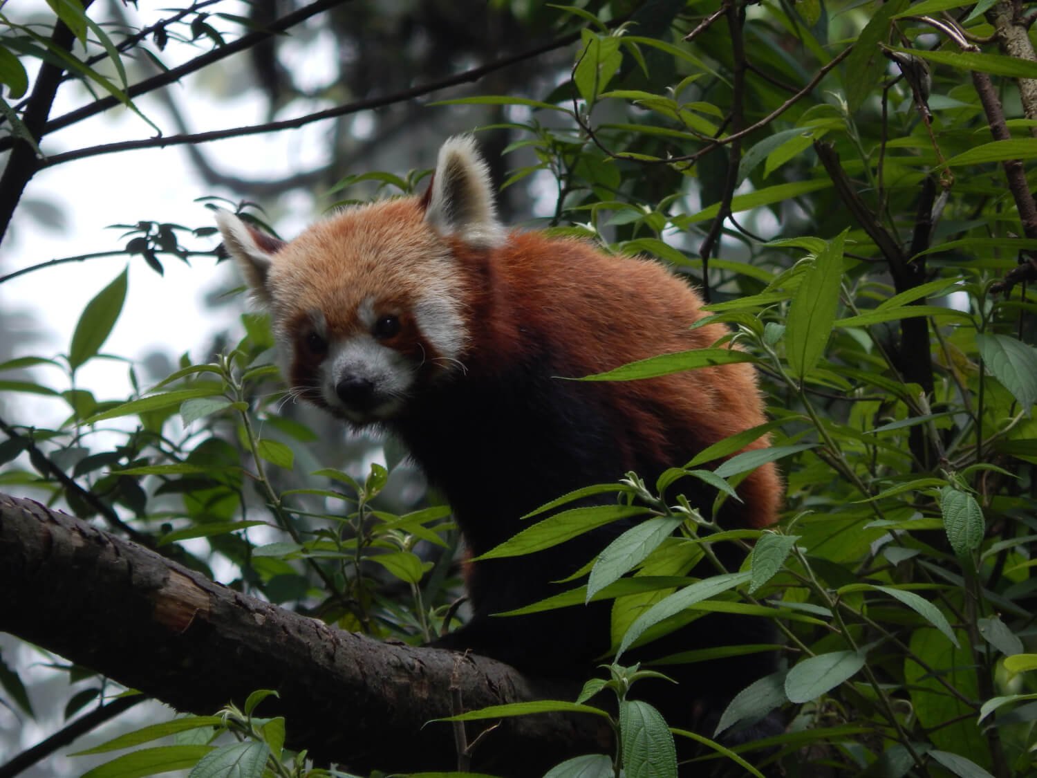 Best of North India Tour