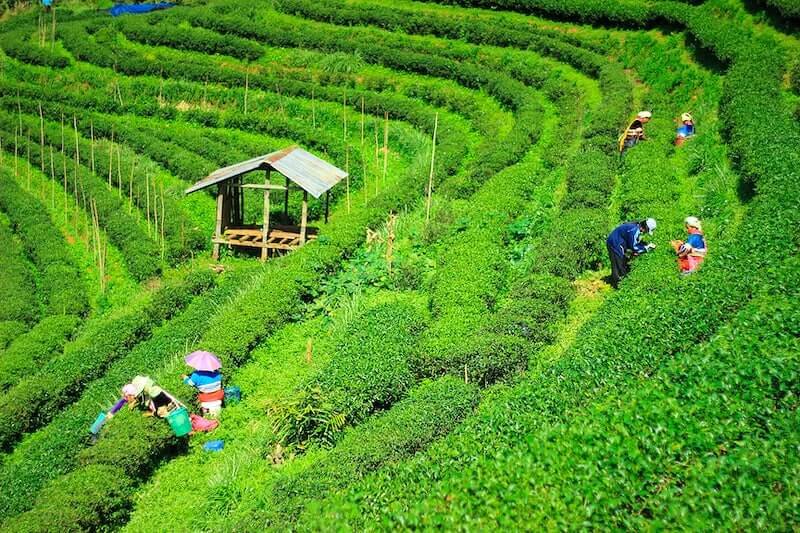 Enchanting North East Tour