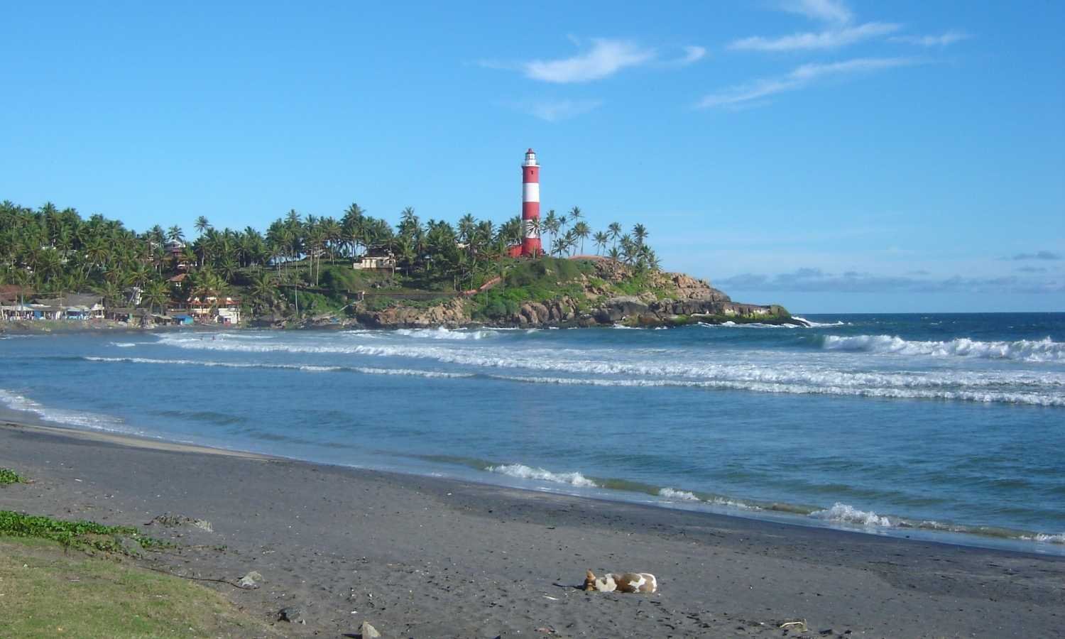 South India Hill Station Tour with Backwaters