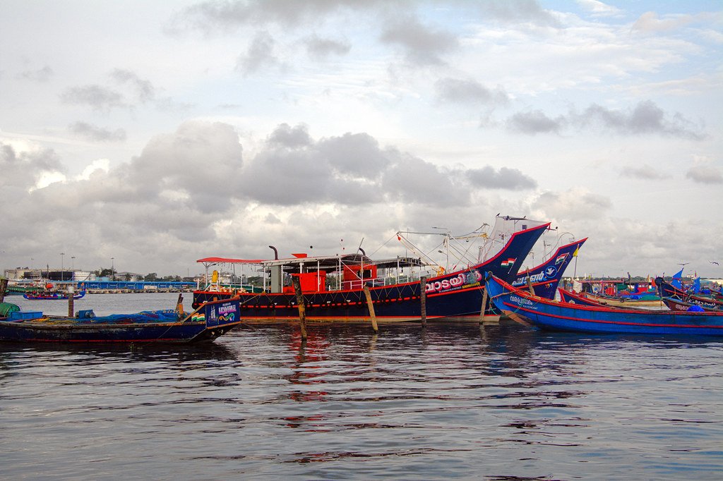 South India Hill Station Tour with Backwaters