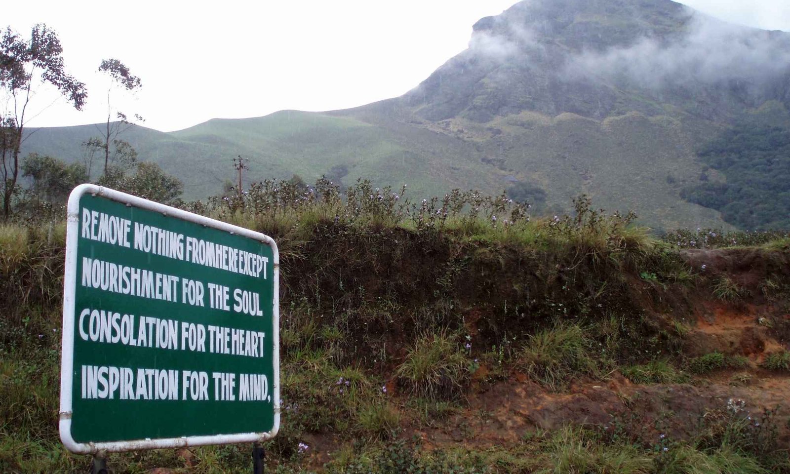 South India Hill Station Tour with Backwaters