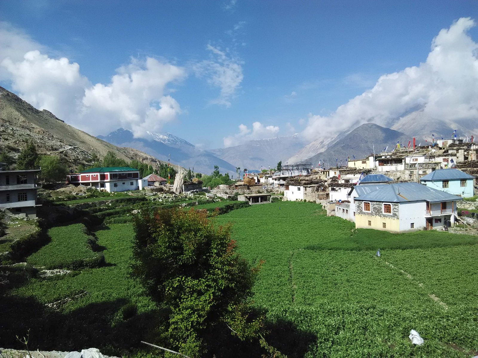 Himachal Tour with Spiti Valley