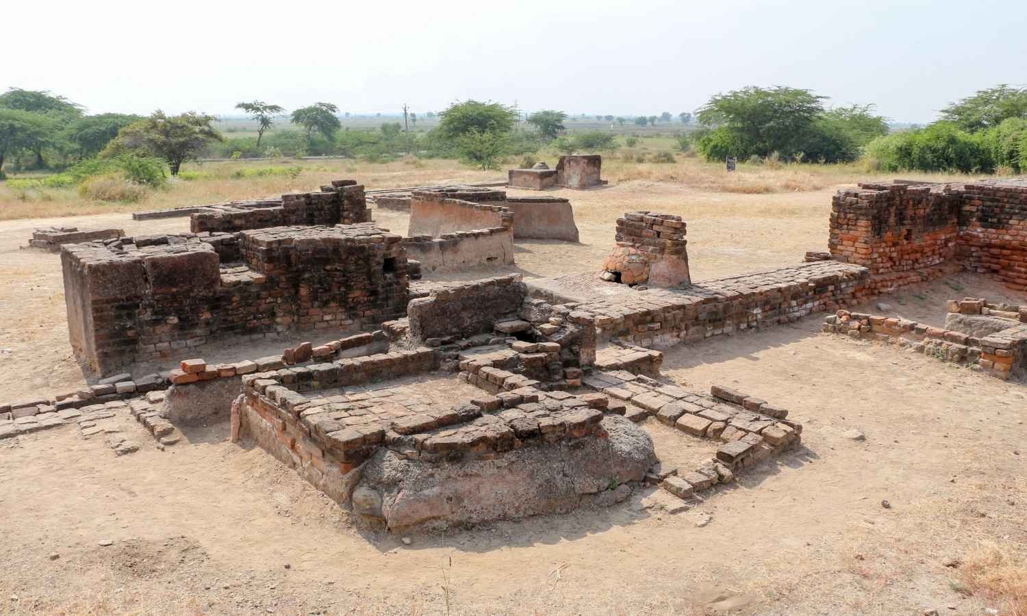 Incredible Gujarat Tour with Gir Lion Safari