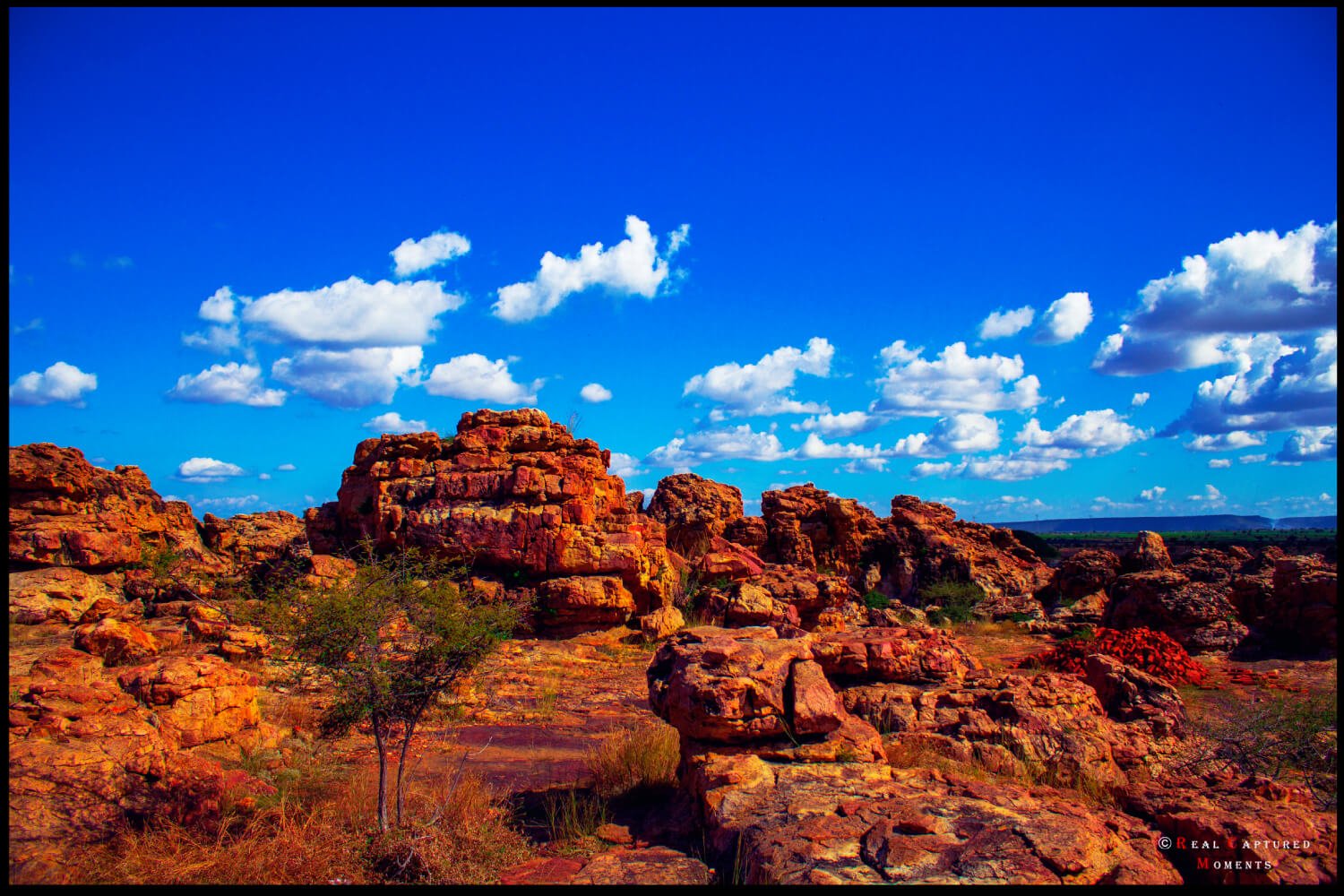 Gems of South India Tour