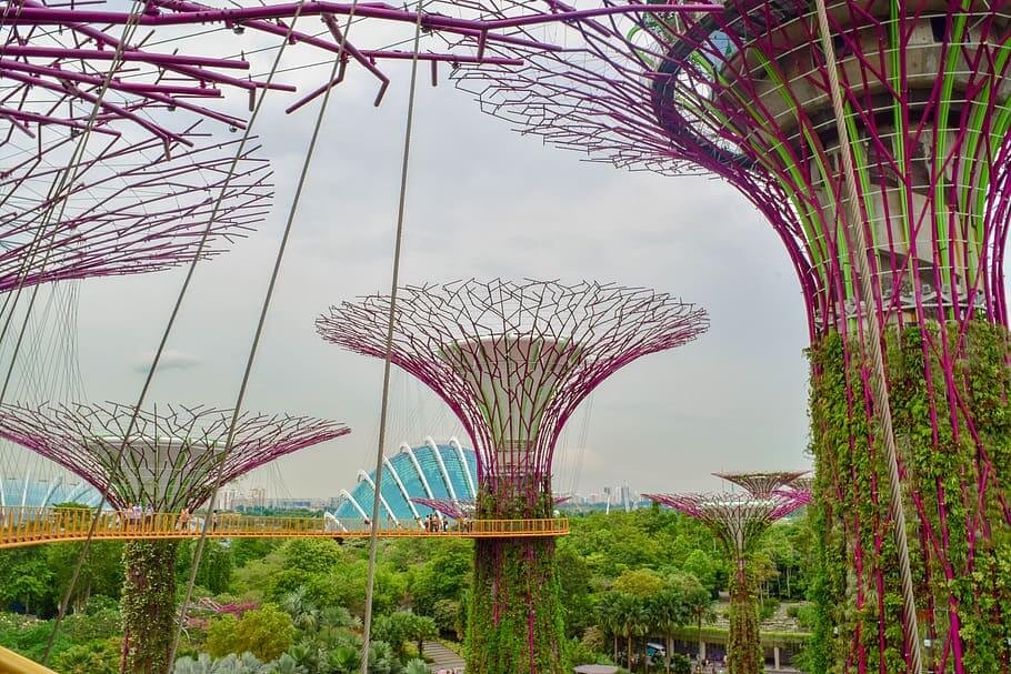 Fantastic Singapore Tour