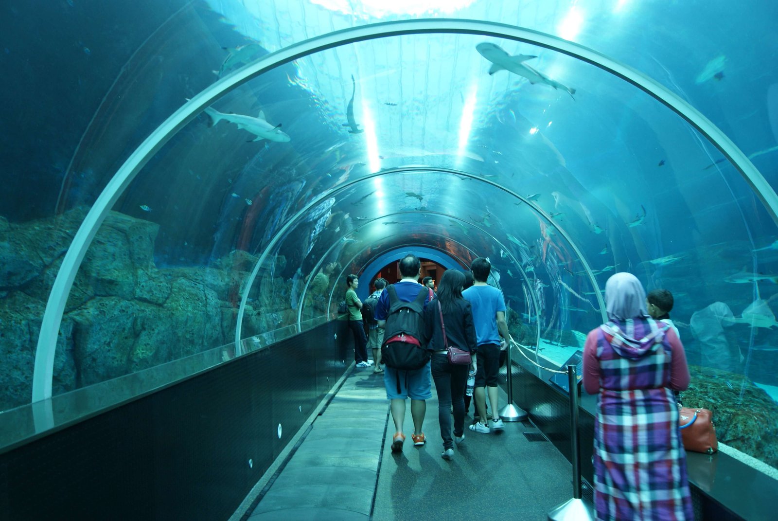 6N 7D Singapore Malaysia Tour