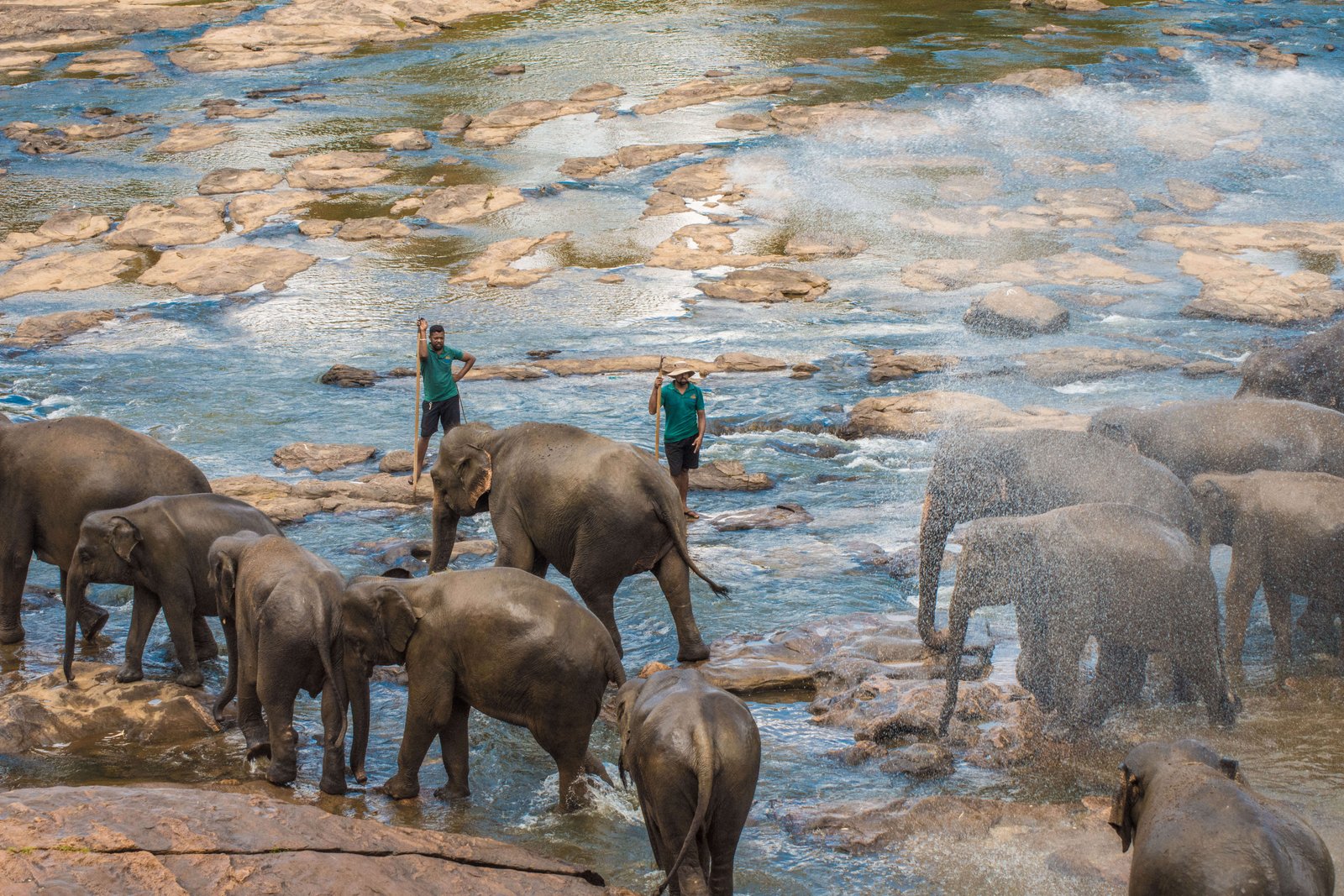 3N 4D Sri Lanka Tour