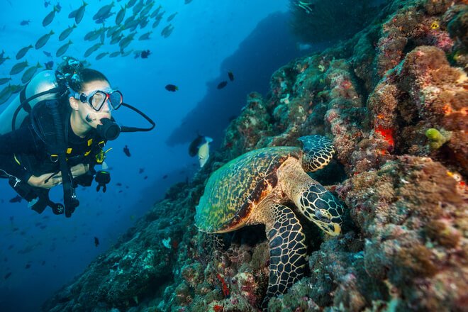 Enchanting Maldives with Kanni Beach Hotel
