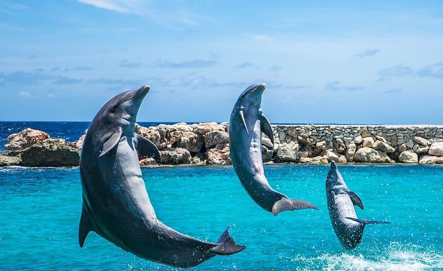 Enchanting Maldives with Kanni Beach Hotel