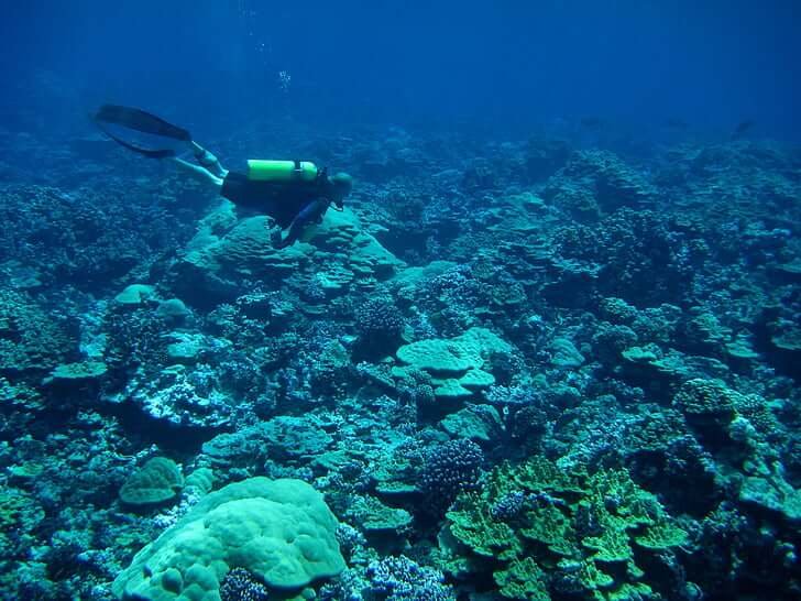 Exotic Lakshadweep 3 Night 4-Day Package