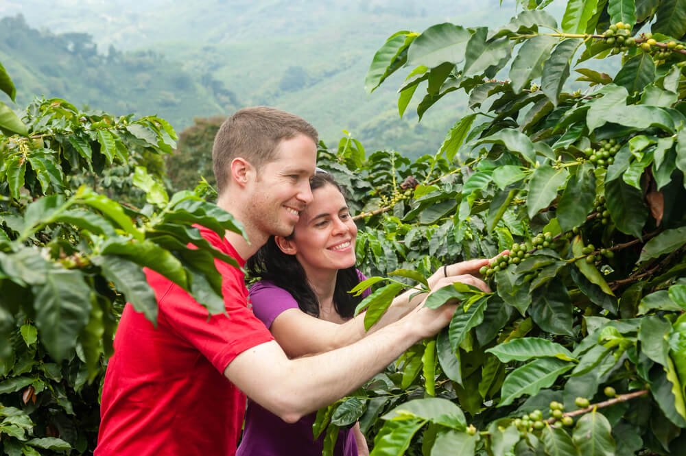 Best of Bali Family Package