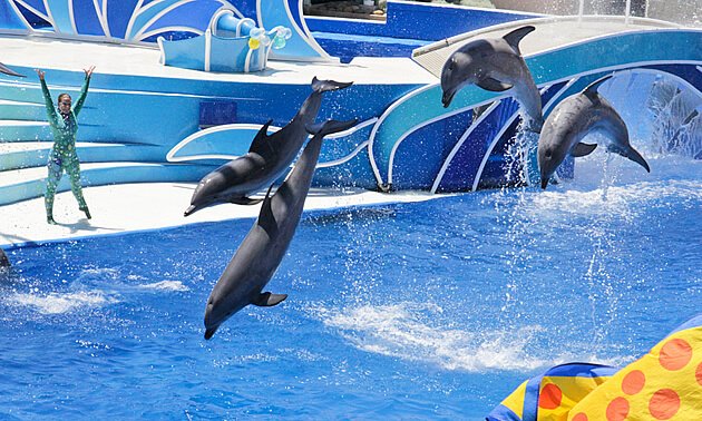 Maldives Magic with Centara Grand Island Resort & Spa