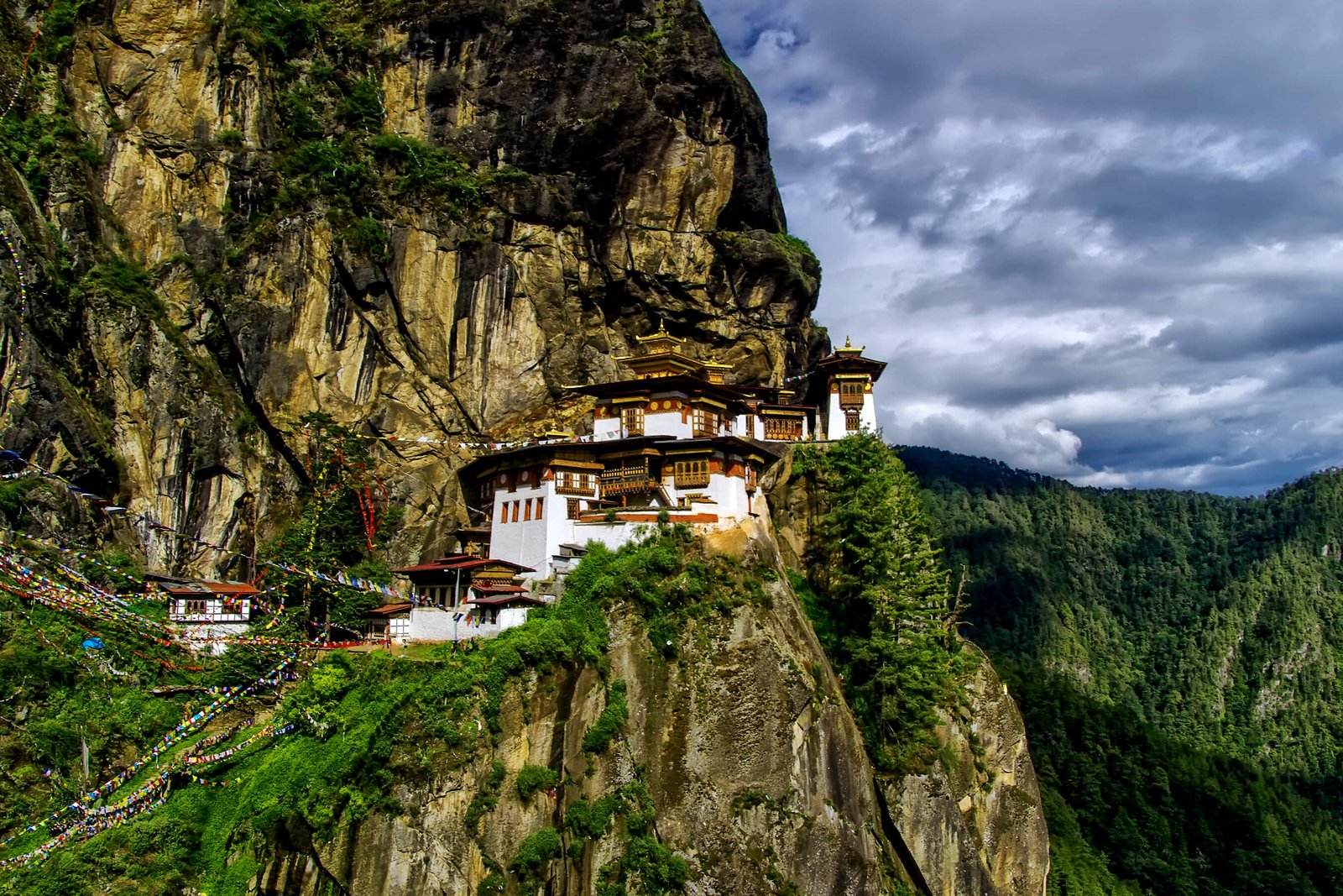 Escape to Bhutan Tour