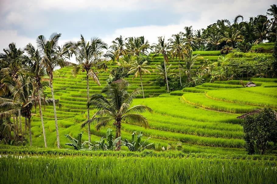 Rustic Bali Tour