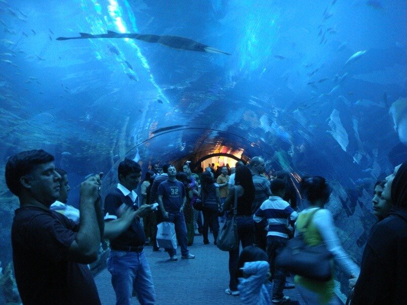 5N 6D Fantastic Dubai Tour