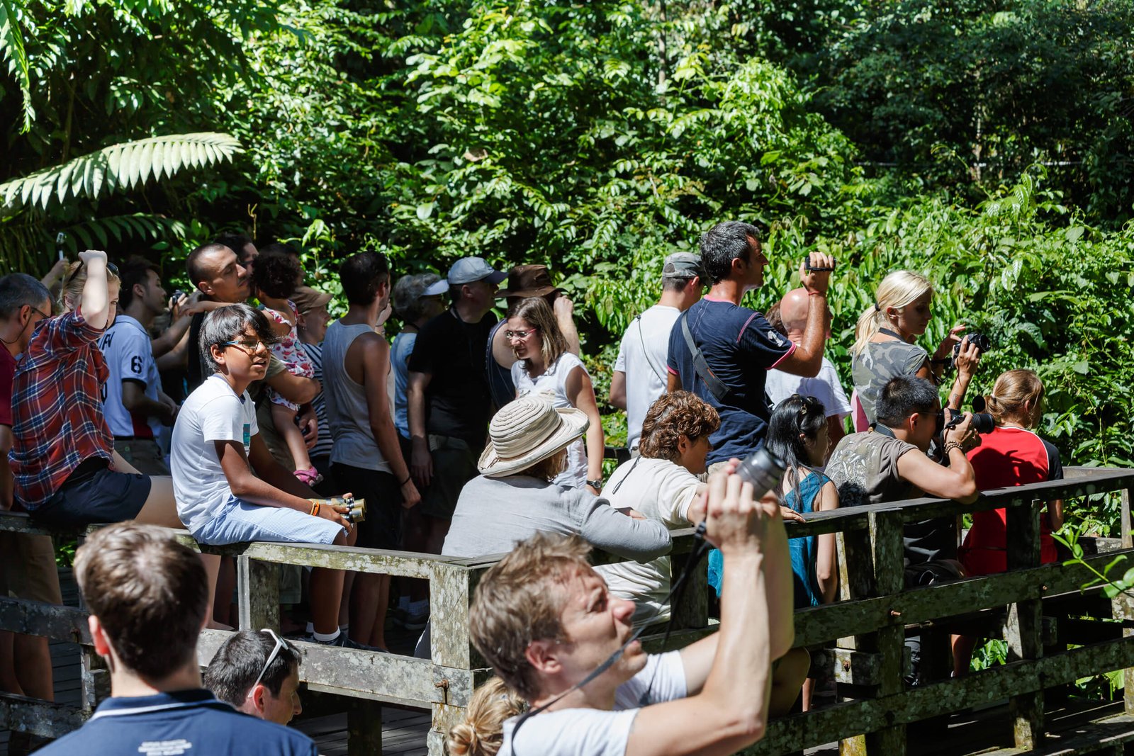 5N 6D Enchanting Malaysia Tour 