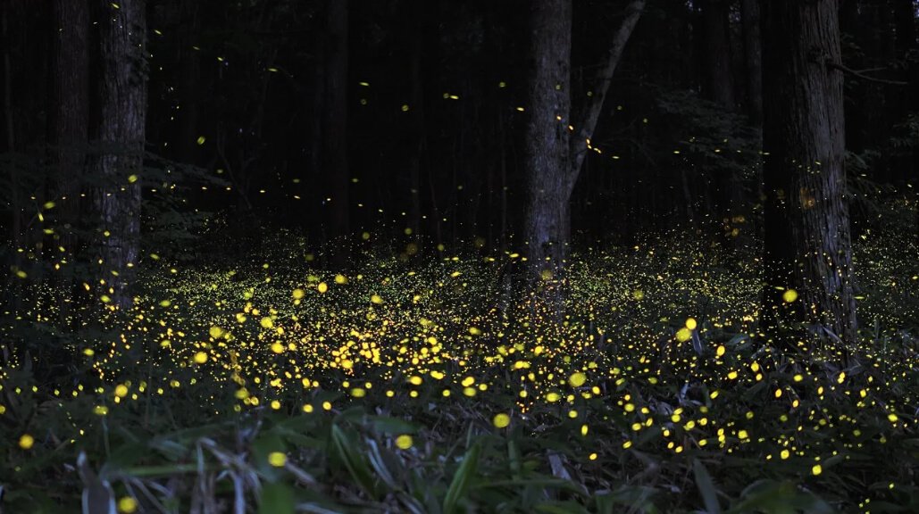 6D 5N Enchanting Philippines Tour