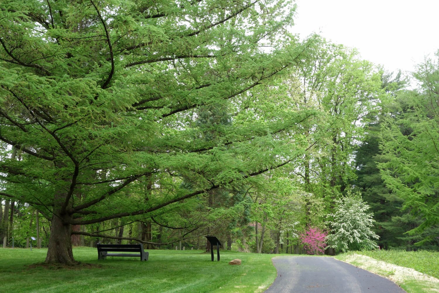 6N 7D Philippines Package with Cebu Boracay