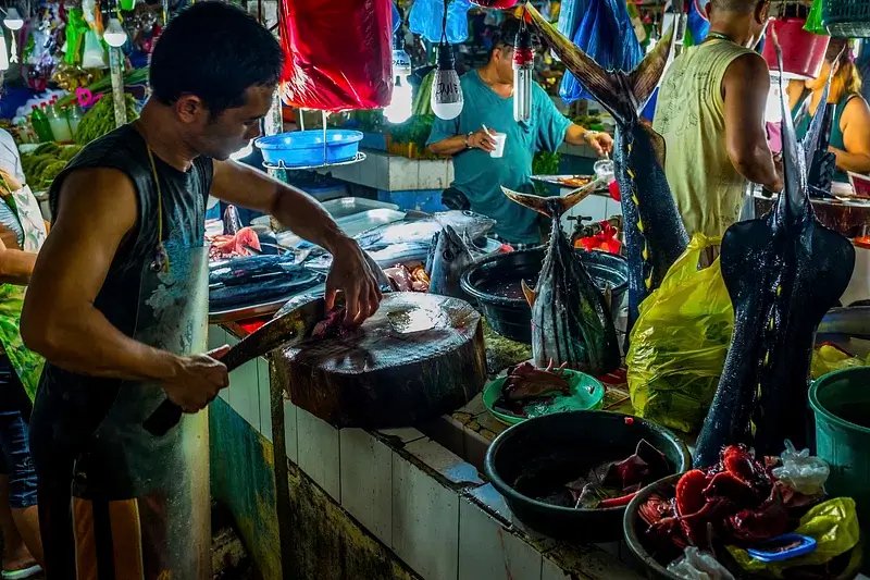 8N 9D Philippines Tour with El Nido Palawan