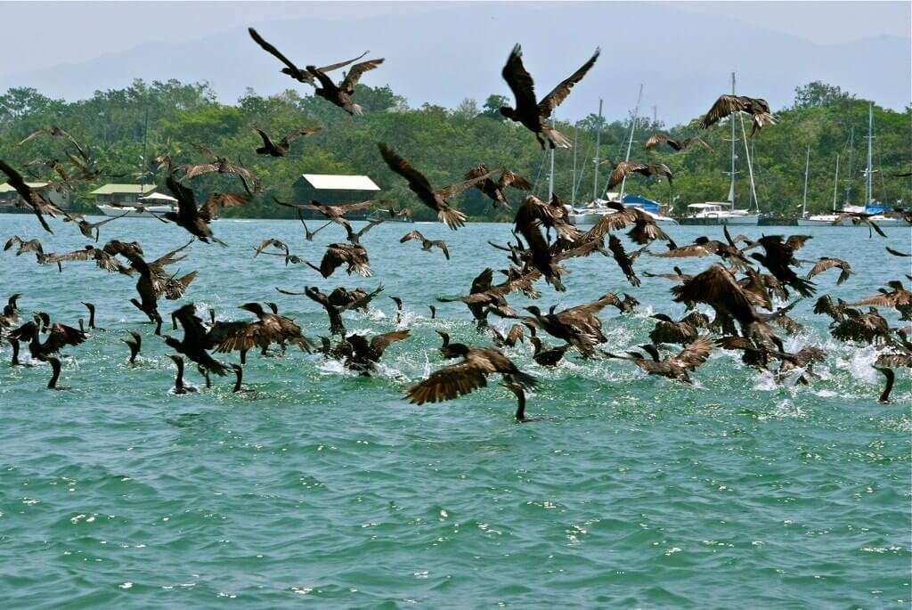 Orissa Golden Triangle Tour Package with Gopalpur