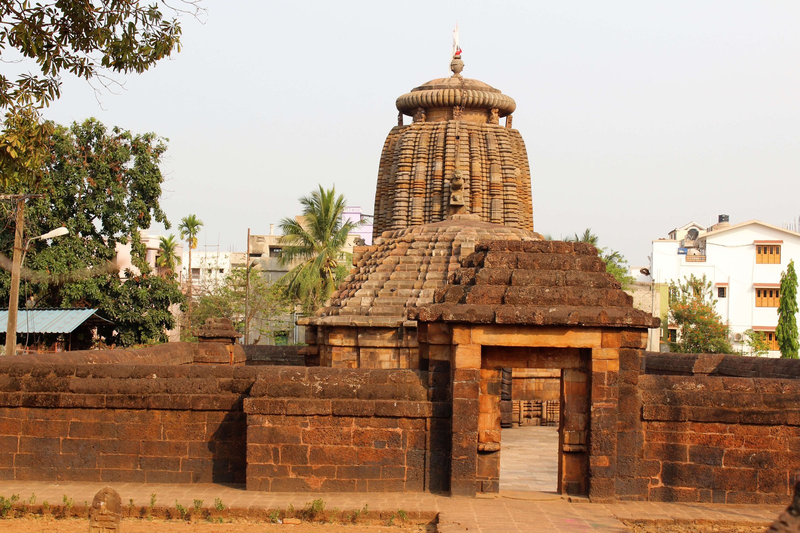 Orissa Wildlife Tour Package