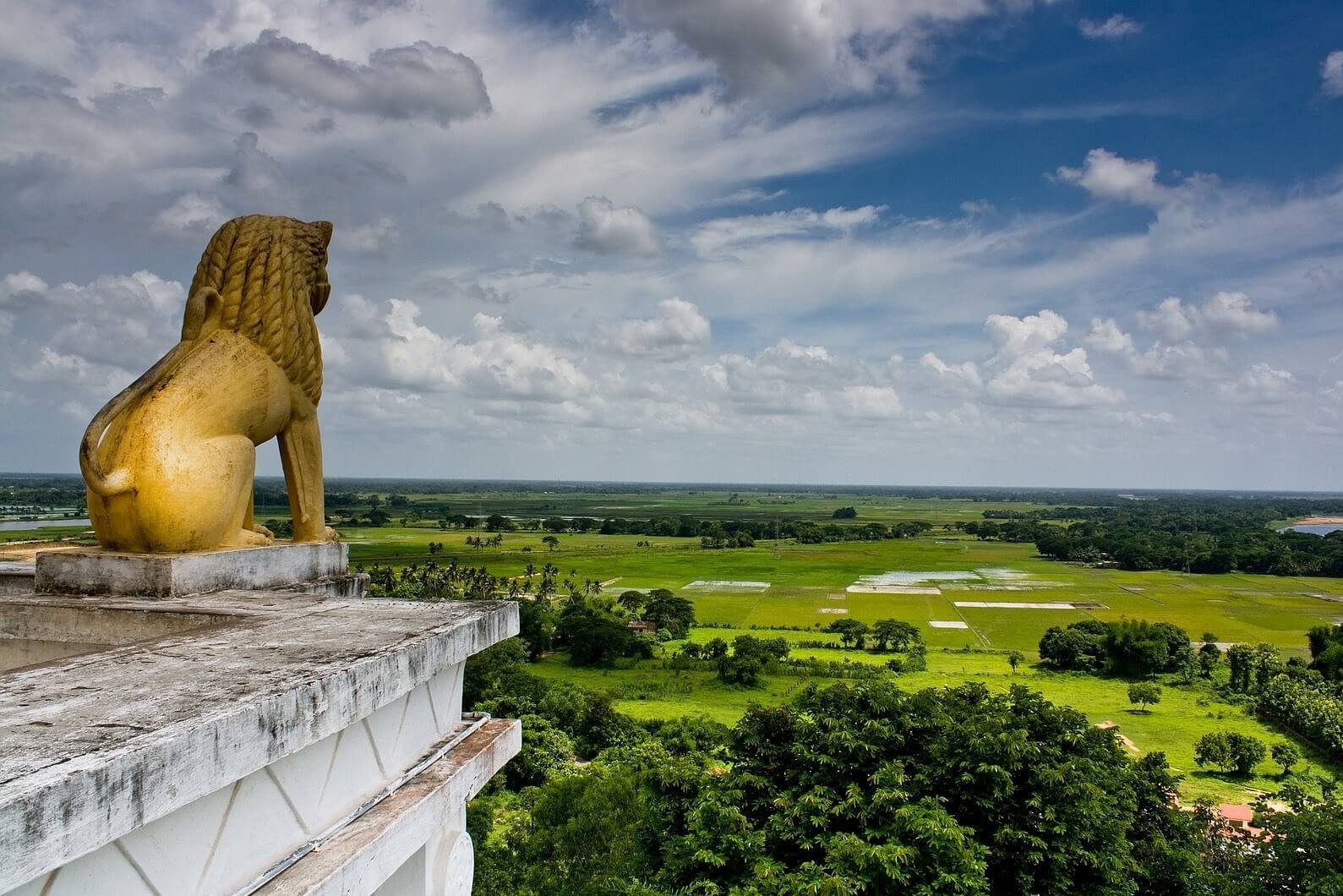 Orissa Wildlife Tour Package