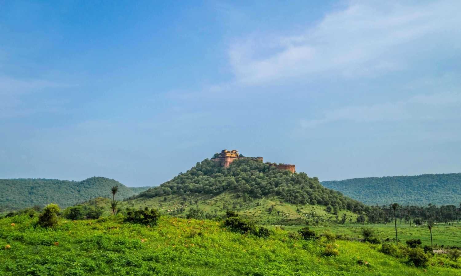 Sariska Ranthambore Bharatpur Wildlife Tour