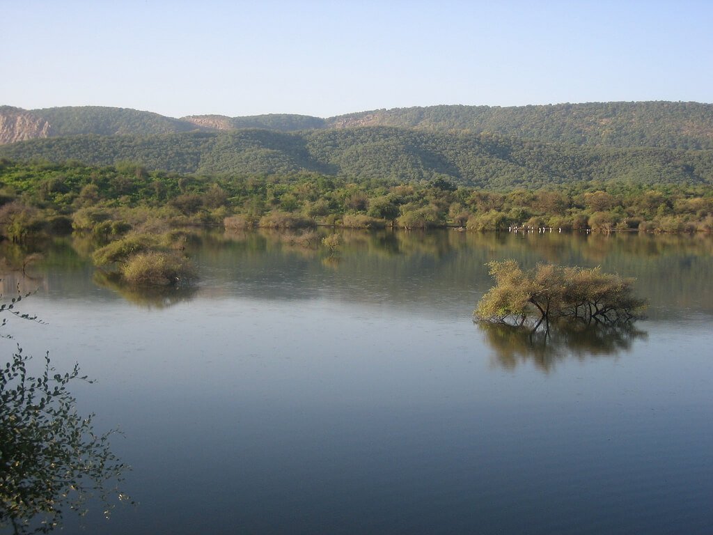Sariska Wildlife Tour with Tiger Safari