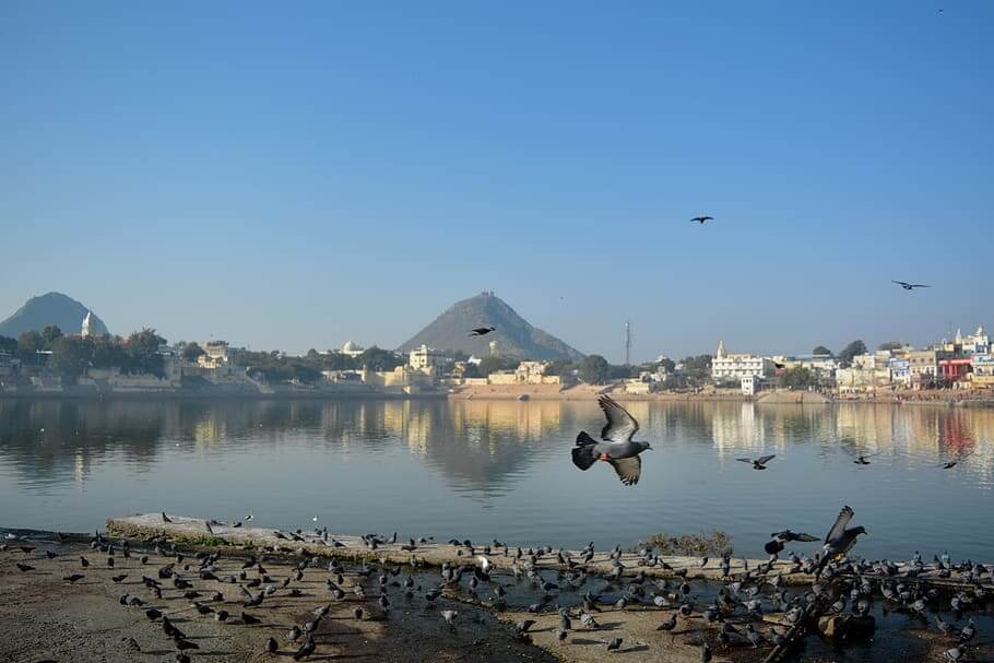 4 Night 5 Day Rajasthan Tour Package