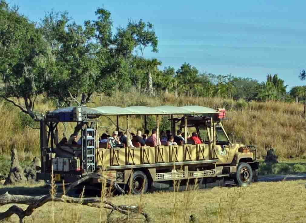 Jawai Leopard Safari with Ranthambore