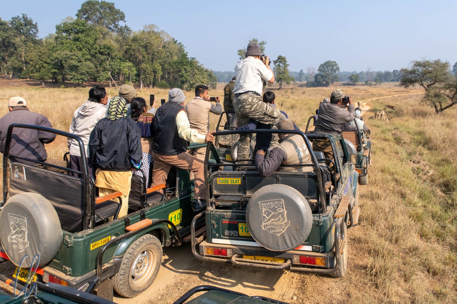 Tadoba and Pench Tiger Safari Tour
