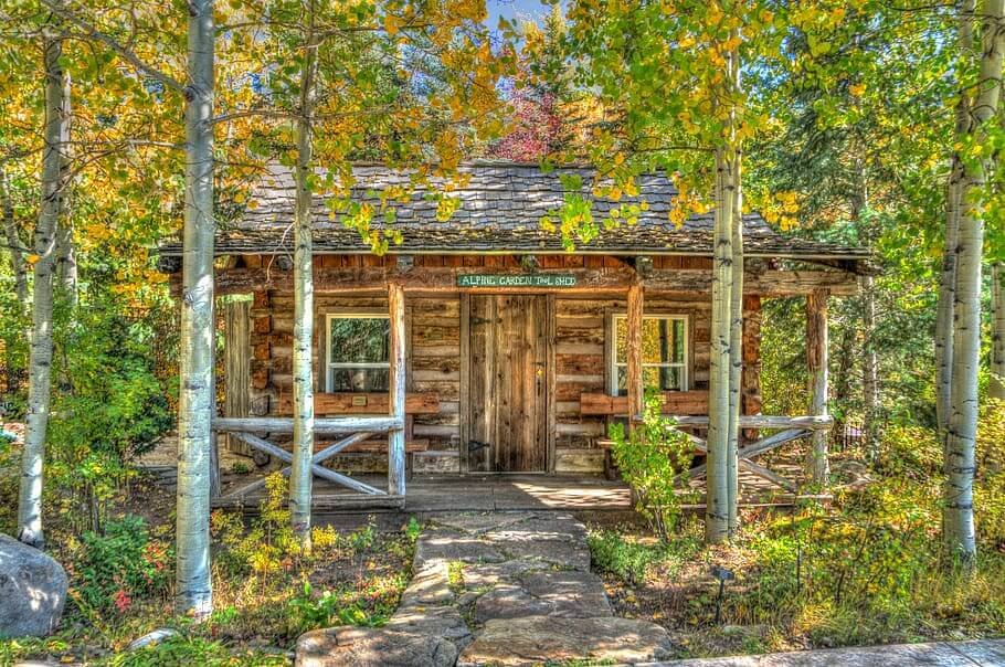 Tadoba and Pench Tiger Safari Tour