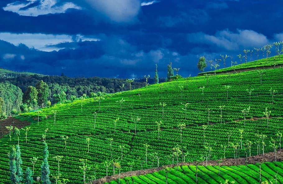 Karnataka Wild Adventure Tour