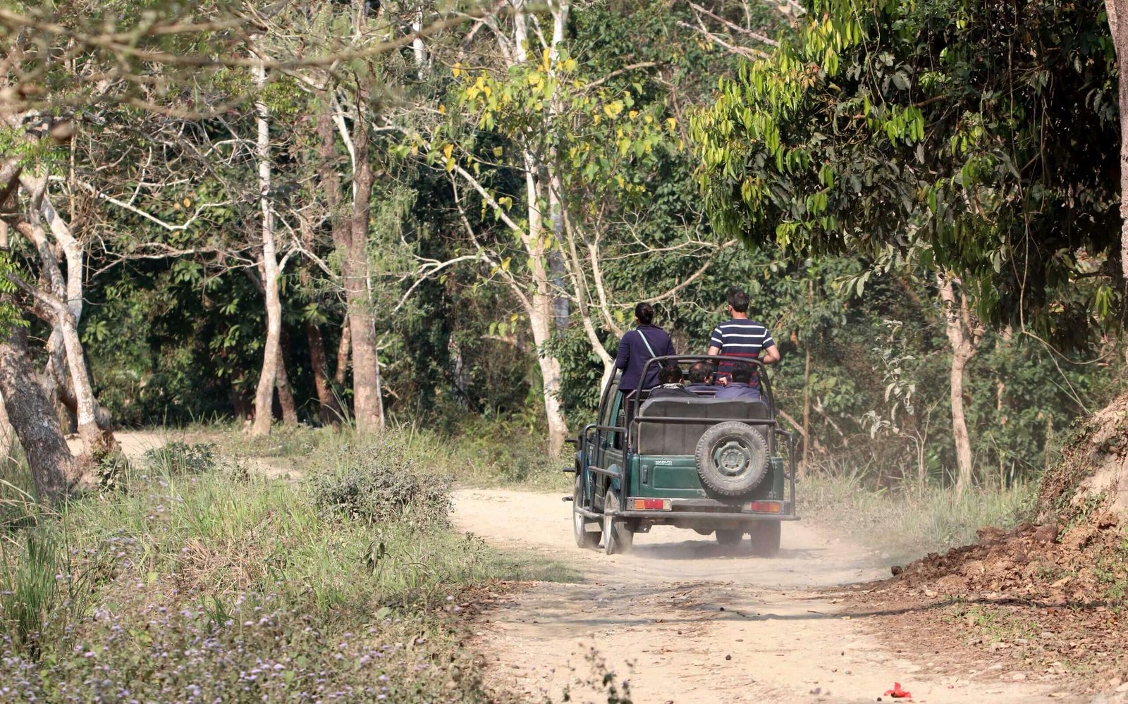 Karnataka Wildlife Tour