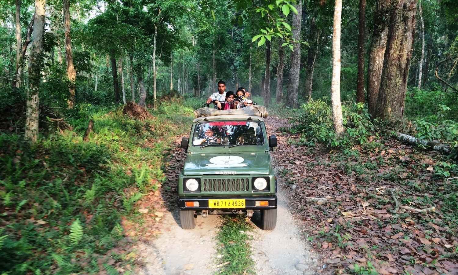 Gorumara & Jaldapara Wildlife Tour