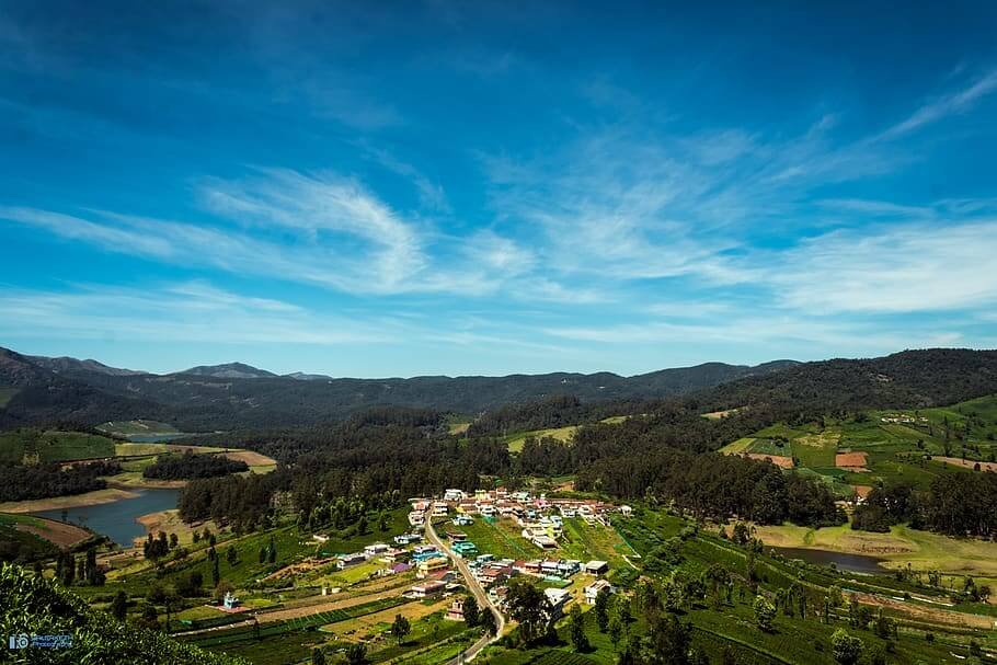 South India Bird Watching Tour