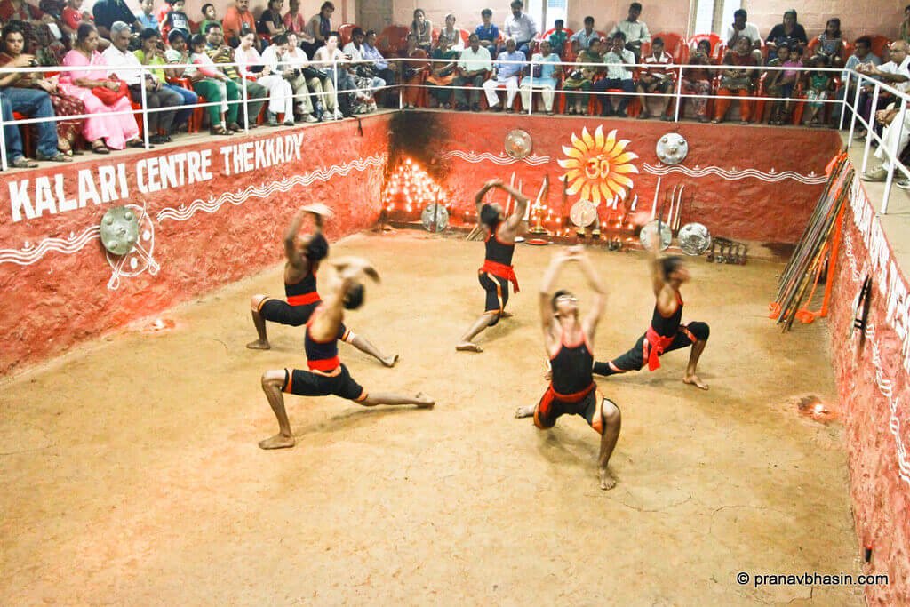 South India Bird Watching Tour